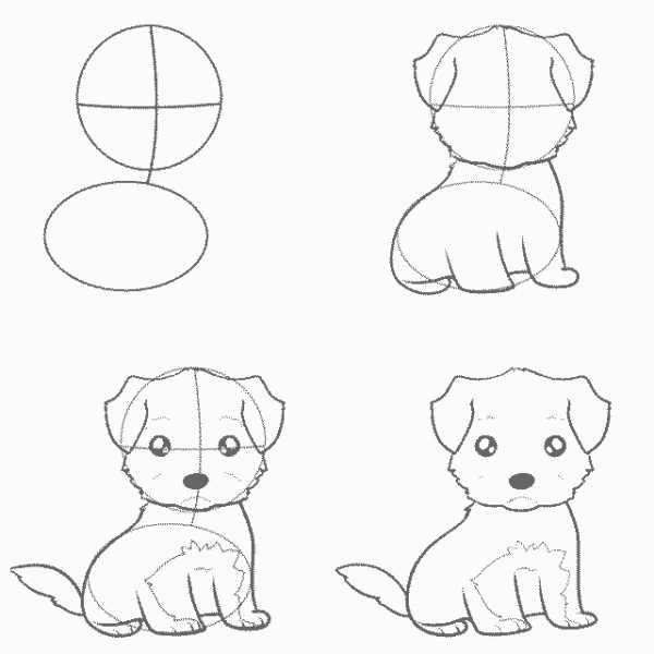 Учимся рисовать собачек