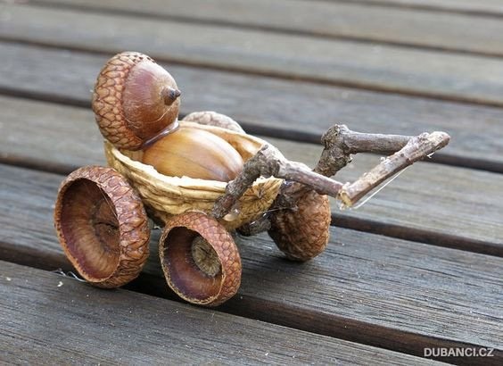 ​Весёлые желуди