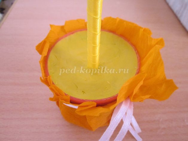 Солнышко из семян ясеня детскими руками: часть 2 Солнышко из семян ясеня детскими руками: часть 2