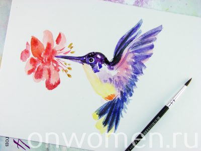 Рисуем колибри акварелью