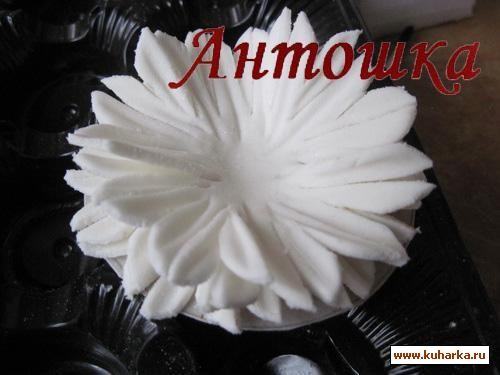 Ромашка Ромашка