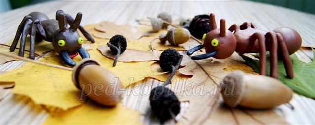 Поделки из пластилина: муравьи Поделки из пластилина: муравьи