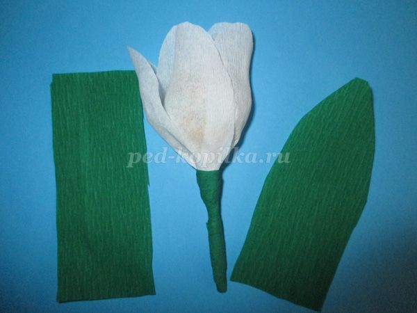 ​Букет из конфет чупа чупс: мастер-класс, часть 2