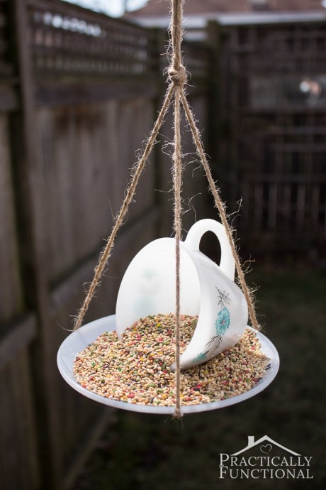 как приготовить корм для птиц с детьми