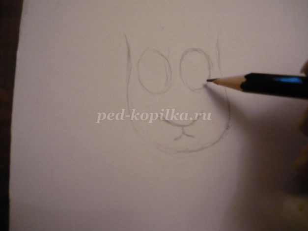 Аппликация "Овечка" из природного материала: часть 1