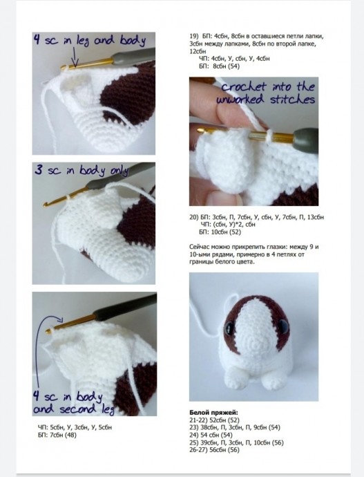 Голландский кролик Голландский кролик