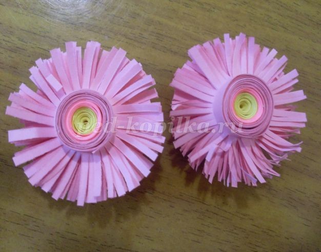 Маргаритки: часть 2