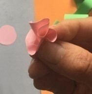 Цветущий кактус Цветущий кактус