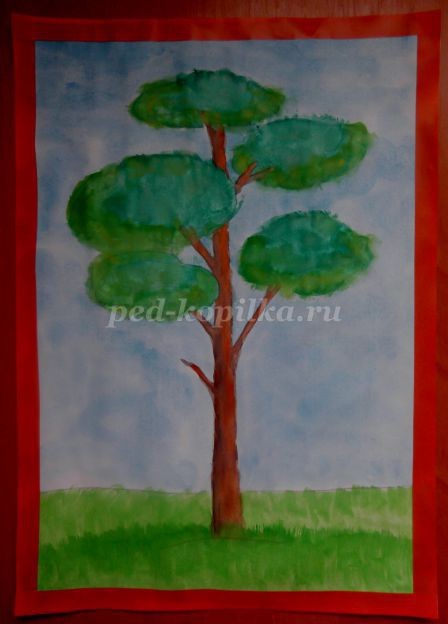 Рисование сосны в технике акварель