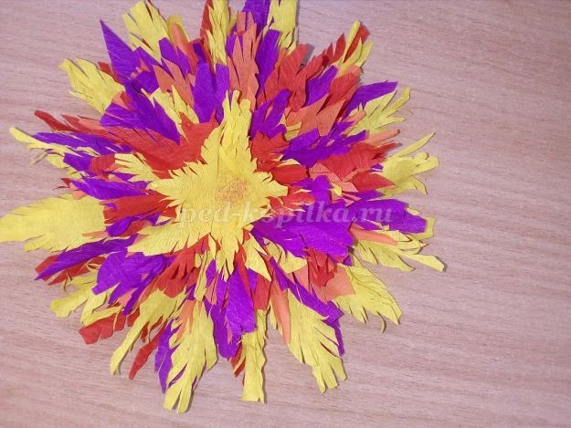 ​Изготовление цветка Майора из гофрированной бумаги: часть 2