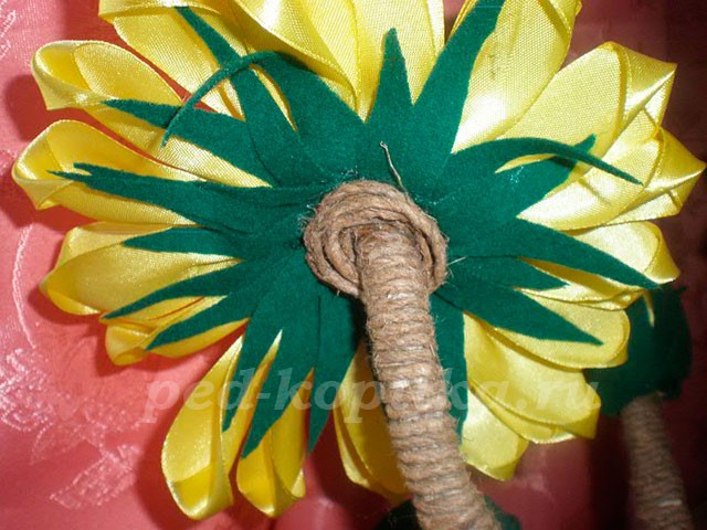 Подсолнухи из кофейных зёрен: мастер-класс Подсолнухи из кофейных зёрен: мастер-класс