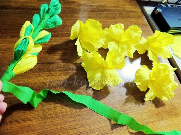 Гладиолусы из гофрированной бумаги: мастер-класс, часть 3 Гладиолусы из гофрированной бумаги: мастер-класс, часть 3