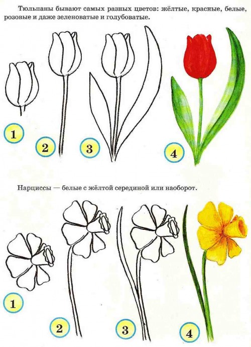 ​Рисуем с детьми цветочки