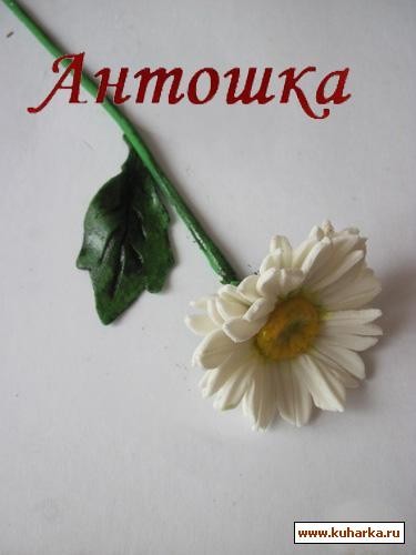 Ромашка Ромашка