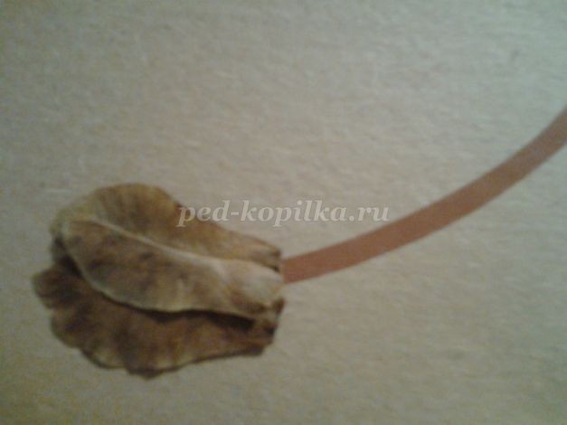 Аппликация "Львёнок" из природных материалов: часть 2