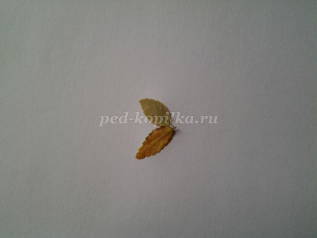 Рыбки из листьев