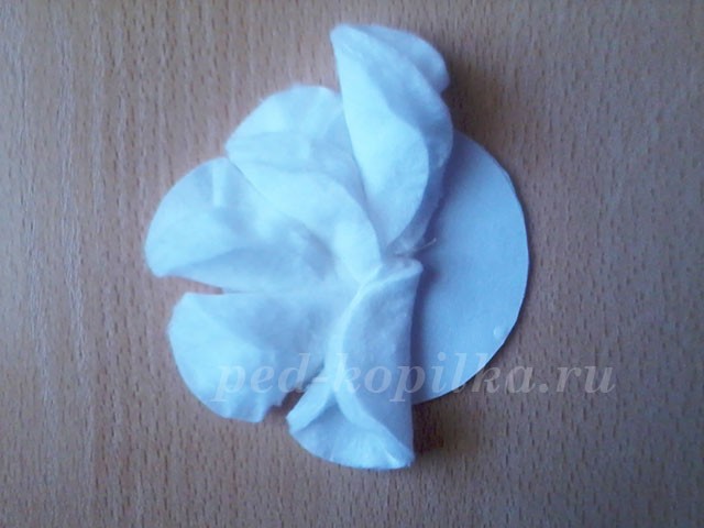 Поделки из ватных дисков: ромашки Поделки из ватных дисков: ромашки