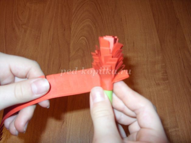 Гиацинты для мамы: часть 2