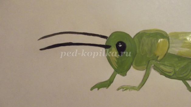 Рисуем кузнечика: часть 2 Рисуем кузнечика: часть 2