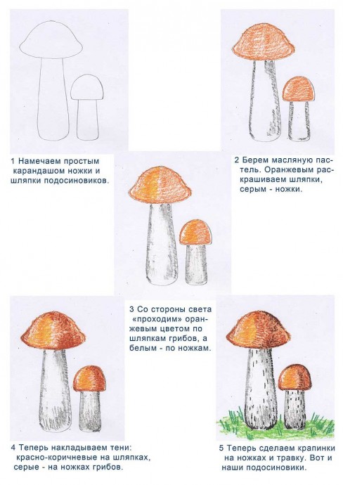 Рисуем с детьми грибы