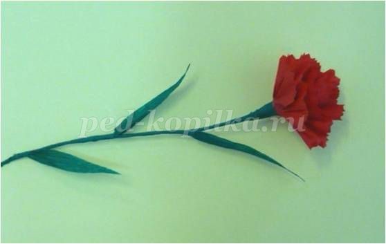 Гвоздика из креповой бумаги Гвоздика из креповой бумаги