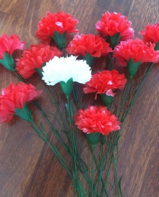 Красная гвоздика Красная гвоздика