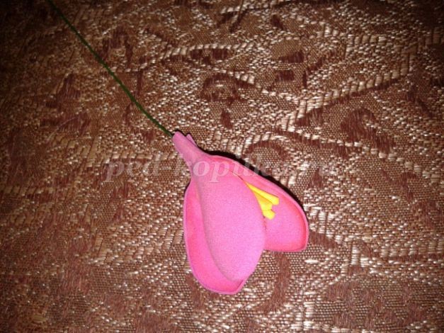 Крокусы из фоамирана детскими руками: часть 2 Крокусы из фоамирана детскими руками: часть 2