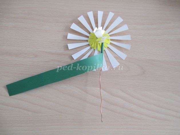 ​Объемная аппликация из цветной бумаги "Подсолнух": часть 2