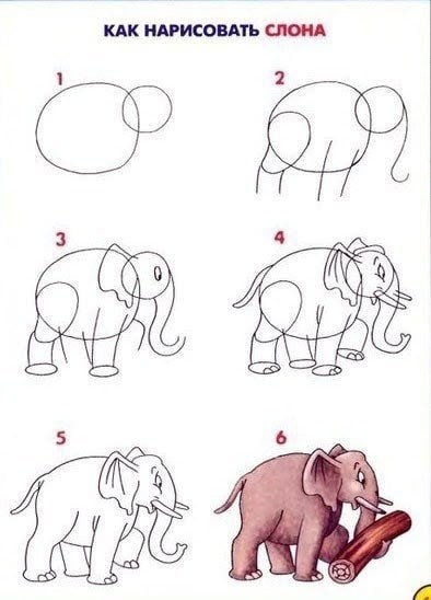 Рисуем разных животных