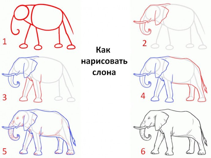 ​Рисуем с детьми слонов