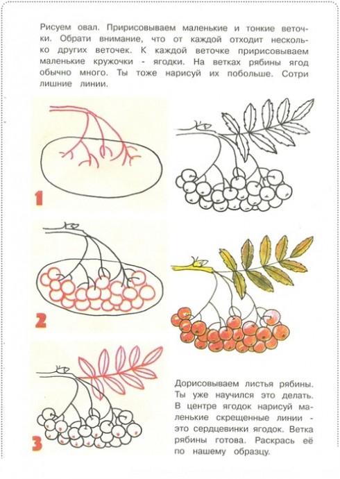 Уроки рисования: листья