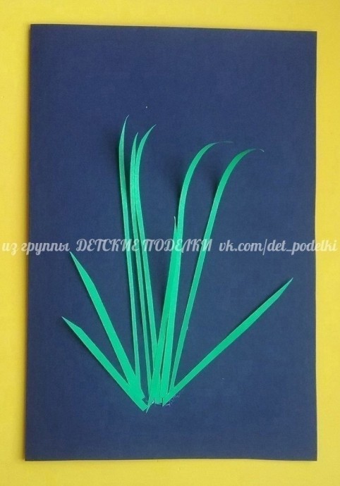 Одуванчики Одуванчики