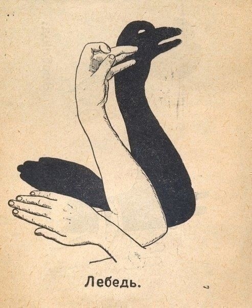 Теневые животные Теневые животные