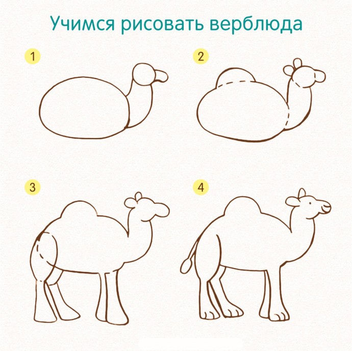 ​Учимся рисовать животных