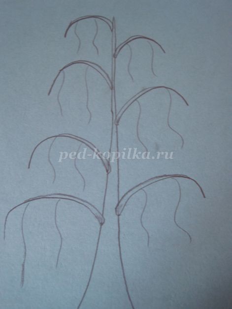 Береза в зимнем уборе: часть 1 Береза в зимнем уборе: часть 1