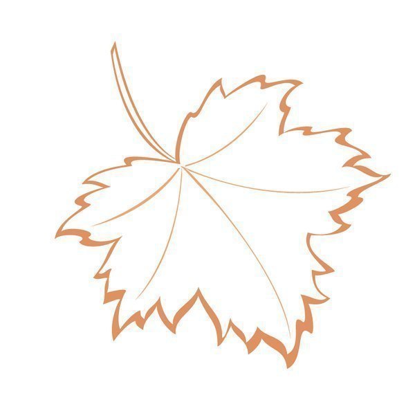 Красивые шаблоны осенних листьев для творчества