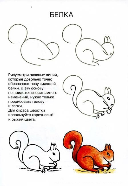 Рисуем животных Рисуем животных