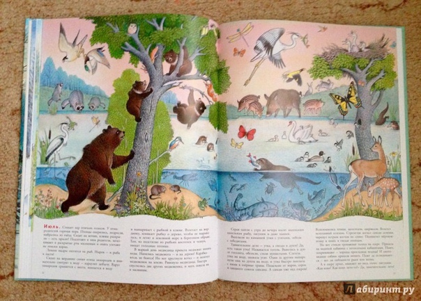 3D поделка "Жизнь леса"