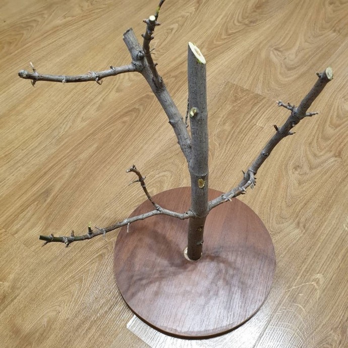 Пышный осенний клён Пышный осенний клён