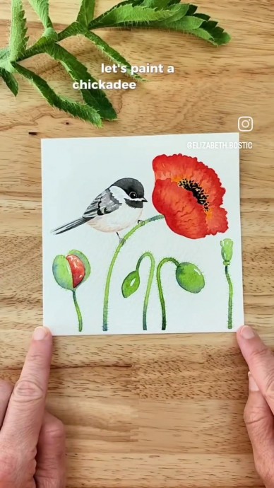 Птичка на маке