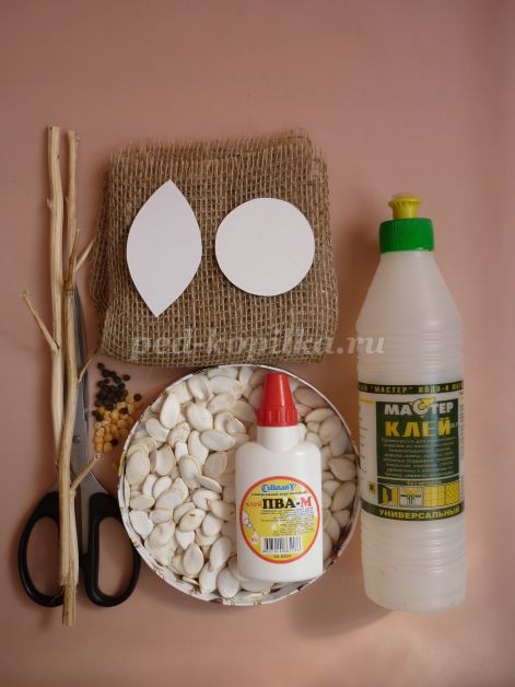 Цветы из тыквенных семечек детскими руками: мастер-класс Цветы из тыквенных семечек детскими руками: мастер-класс