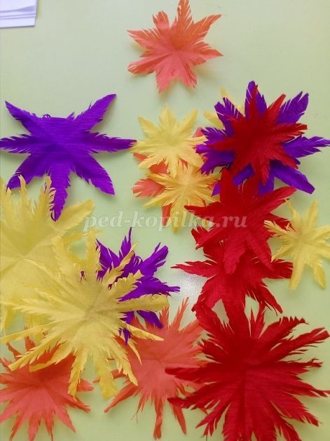 ​Изготовление цветка Майора из гофрированной бумаги: часть 2