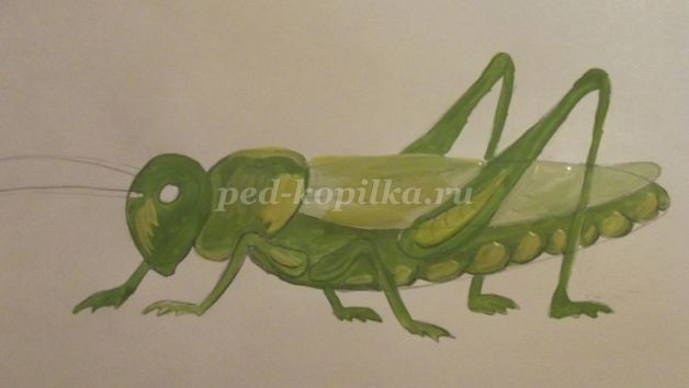 Рисуем кузнечика: часть 2 Рисуем кузнечика: часть 2