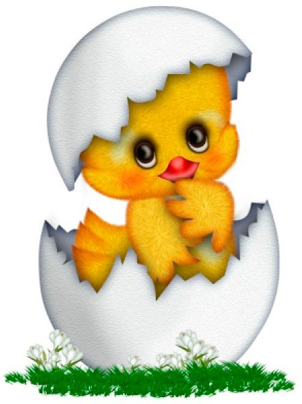 Открытка с цыплятами в технике скрапбукинг: часть 1 Открытка с цыплятами в технике скрапбукинг: часть 1