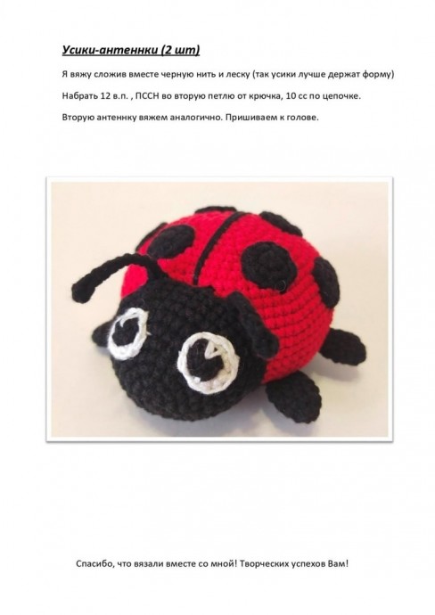 Божья коровка