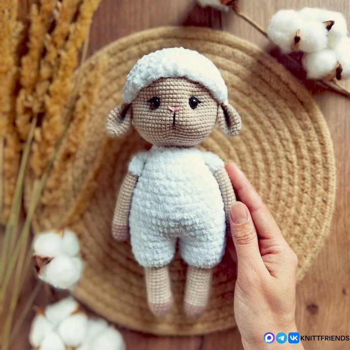 Барашек или овечка