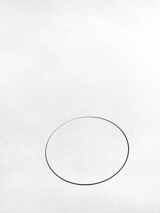 Рисуем луковицу тюльпана