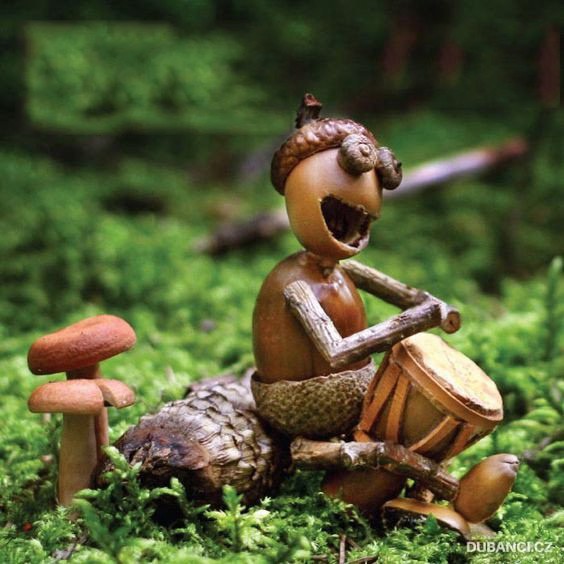 ​Весёлые желуди