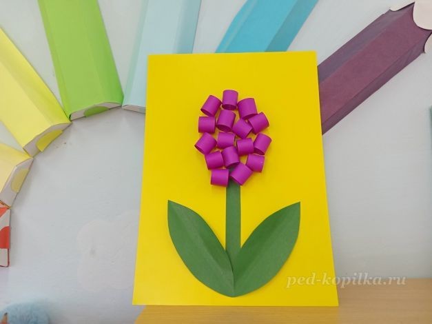 Цветок гиацинт: часть 3