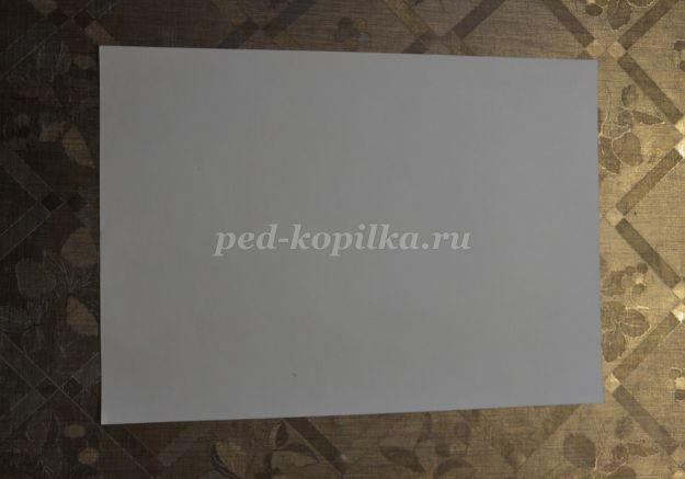 Птенцы в гнезде